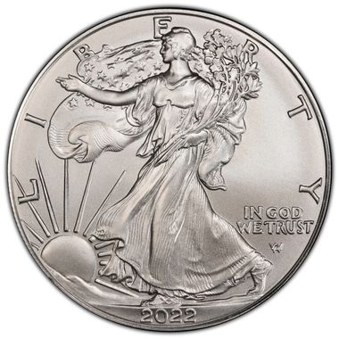 Cert 45329484 - Coin Image