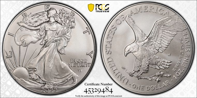 Cert 45329484 - Coin Image