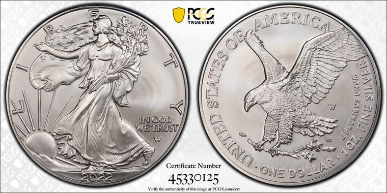 Cert 45330125 - Coin Image