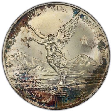 Cert 45331565 - Coin Image