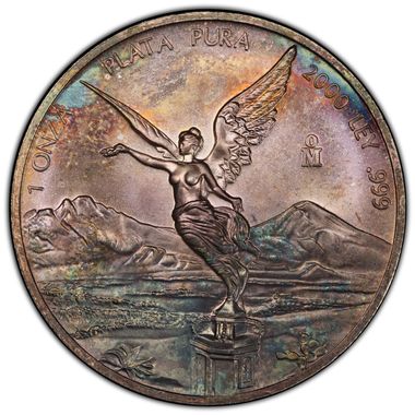Cert 45331566 - Coin Image