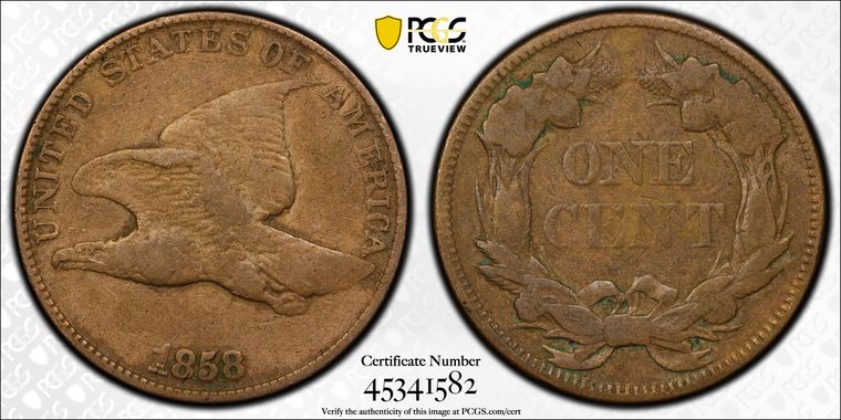 Cert 45341582 - Coin Image