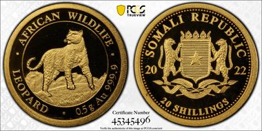 2022 20 S African Leopard Au .5g MS69
