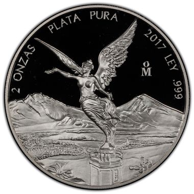 Cert 45349006 - Coin Image