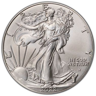 Cert 45358383 - Coin Image