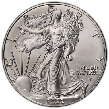 Cert 45358384 - Coin Image