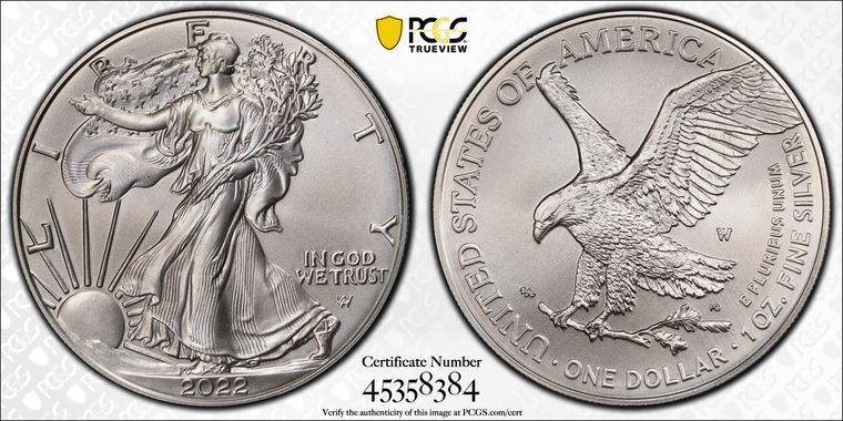 Cert 45358384 - Coin Image