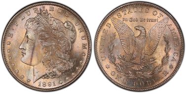 1891-S $1 MS64
