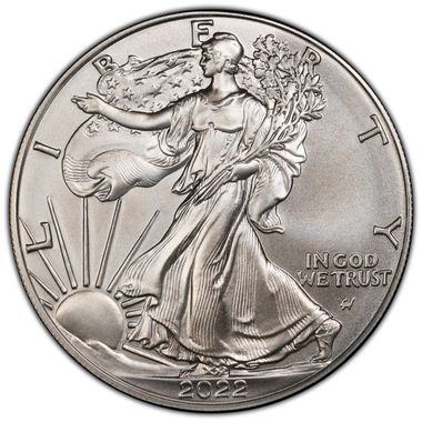 Cert 45378879 - Coin Image