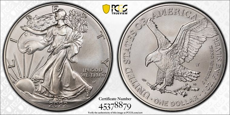 Cert 45378879 - Coin Image