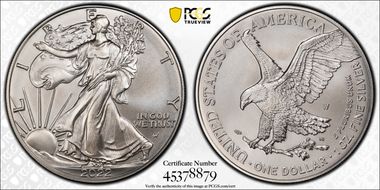 2022-W $1 Burnished Silver Eagle First Strike SP69