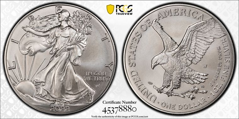 Cert 45378880 - Coin Image