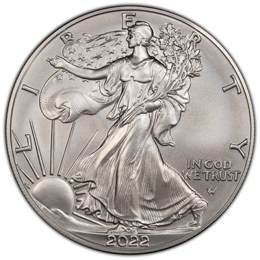 Cert 45378882 - Coin Image