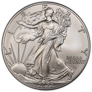 Cert 45378883 - Coin Image