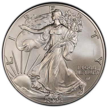Cert 45389394 - Coin Image