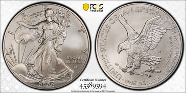 2022-W $1 Burnished Silver Eagle SP69