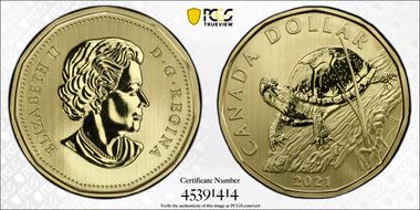 2021 $1 Blanding's Turtle SP69