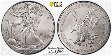 2022-W $1 Burnished Silver Eagle First Strike SP70