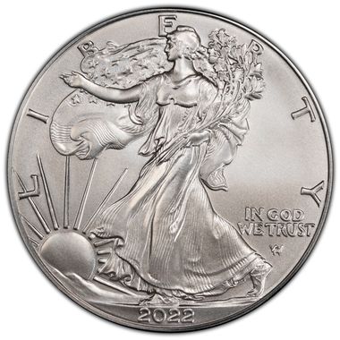 Cert 45413818 - Coin Image