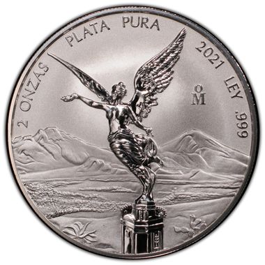 Cert 45418249 - Coin Image