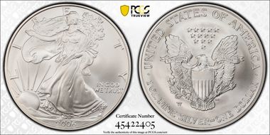 2006-W $1 Burnished Silver Eagle 20th Anniversary SP69