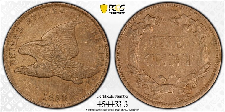 Cert 45443313 - Coin Image