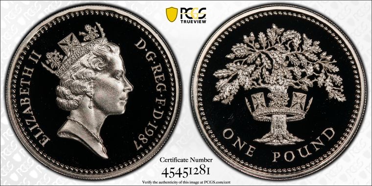 Cert 45451281 - Coin Image