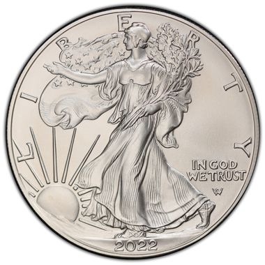 Cert 45453524 - Coin Image