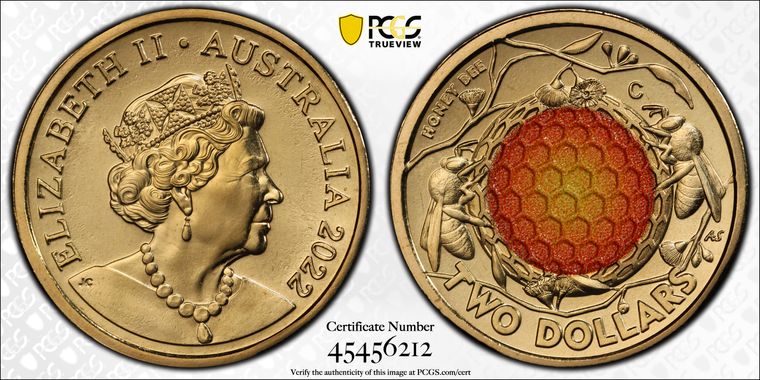 Cert 45456212 - Coin Image