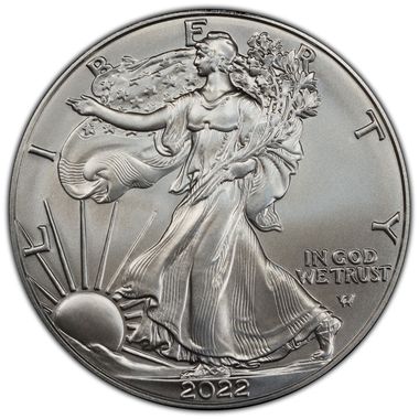 Cert 45465546 - Coin Image