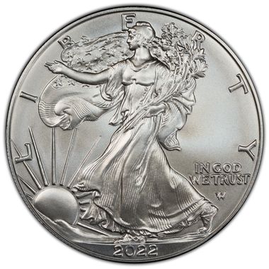 Cert 45465547 - Coin Image