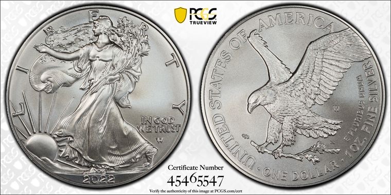 Cert 45465547 - Coin Image