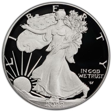 Cert 45466771 - Coin Image