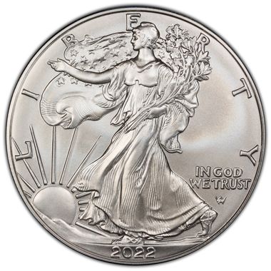 Cert 45484114 - Coin Image