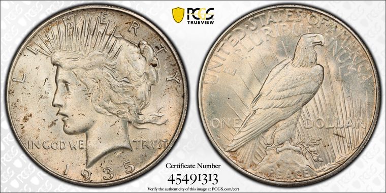 Cert 45491313 - Coin Image