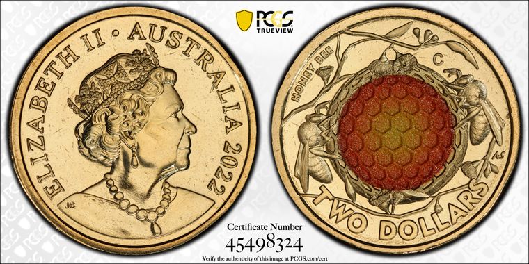 Cert 45498324 - Coin Image