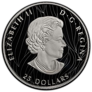 Cert 45500335 - Coin Image