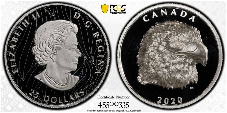 Cert 45500335 - Coin Image