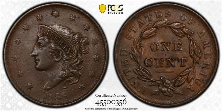 Cert 45500356 - Coin Image