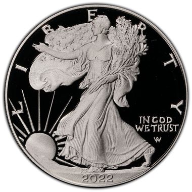 Cert 45500536 - Coin Image