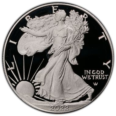 Cert 45500539 - Coin Image