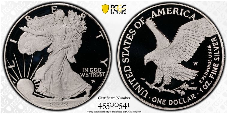 Cert 45500541 - Coin Image