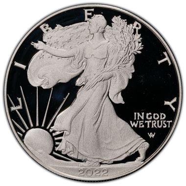 Cert 45500546 - Coin Image