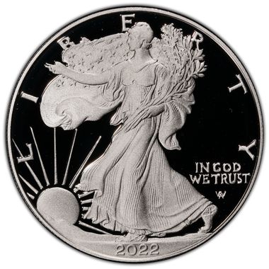 Cert 45500548 - Coin Image
