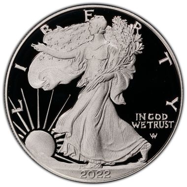 Cert 45500552 - Coin Image