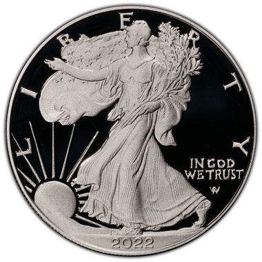Cert 45500556 - Coin Image