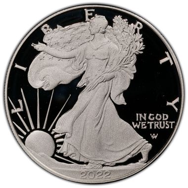 Cert 45500561 - Coin Image