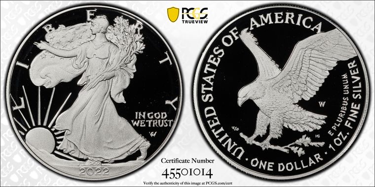 Cert 45501014 - Coin Image