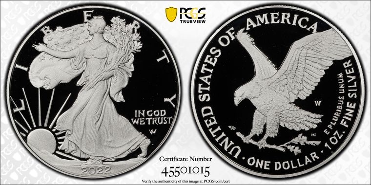 Cert 45501015 - Coin Image