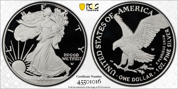 Cert 45501016 - Coin Image